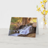 Fairmount公園-川岸 カード (黄色い花)