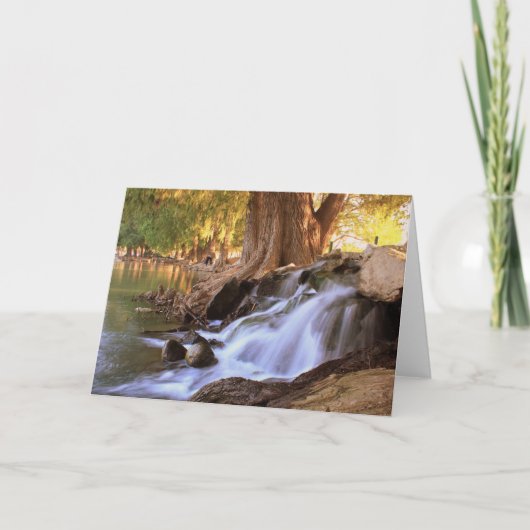 Fairmount公園-川岸 カード (正面)