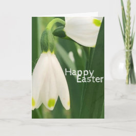 Fairy Bells 1 - Folded Greeting Card カード