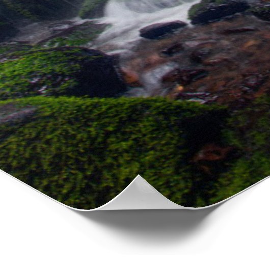 Fairy Falls | Colombia River Gorge Oregon. ポスター (角)