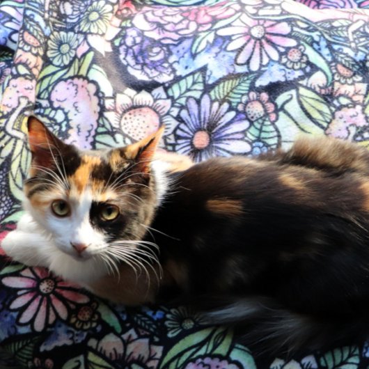 Fairy Garden Gardening Flower Gardens Fairies シェルパブランケット