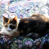 Fairy Garden Gardening Flower Gardens Fairies      フリースブランケット