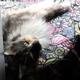 Fairy Garden Gardening Flower Gardens Fairies      フリースブランケット