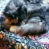 Fairy Garden Gardening Flower Gardens Fairies      フリースブランケット