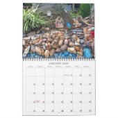 Fairy Gardens 2025 Calendar カレンダー (1月 2026)