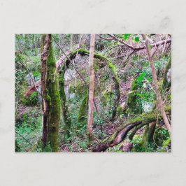 Fairy Portal - Rio de Mouros - Conímbriga - PT ポストカード