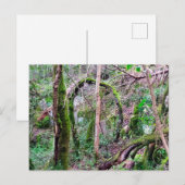 Fairy Portal - Rio de Mouros - Conímbriga - PT ポストカード (正面/裏面)