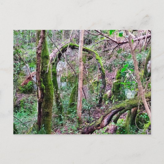 Fairy Portal - Rio de Mouros - Conímbriga - PT ポストカード (正面)