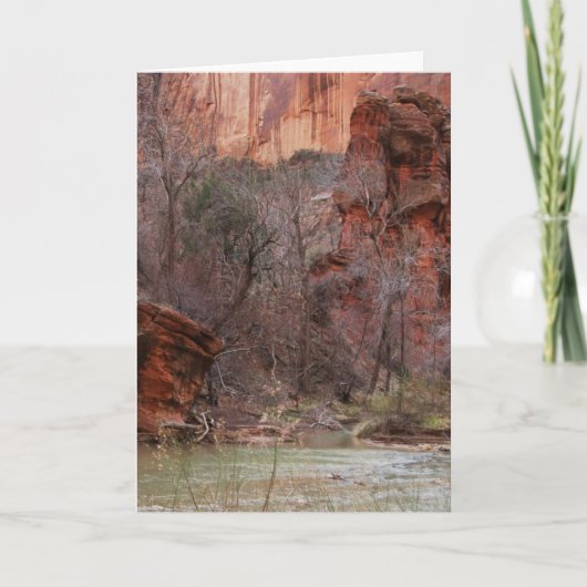 Fairyland カード (正面)