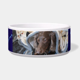 Faithfu Pawprints Pet ボウル