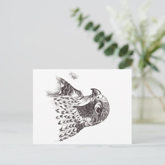 FALCON ポストカード (スタンド正面)