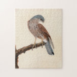 Falcon Hen Kestrel | William Lewin ジグソーパズル<br><div class="desc">Falcon; Hen Kestrel (before 1790) | William Lewin’s Falcon; Hen Kestrel is a striking and detailed painting featuring a hen kestrel perched gracefully on a branch against a minimalist neutral background. The artwork captures the bird’s sleek form, sharp beak, and intricate plumage with exceptional precision. The simplicity of the composition...</div>