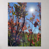 Fall  ポスター (正面)