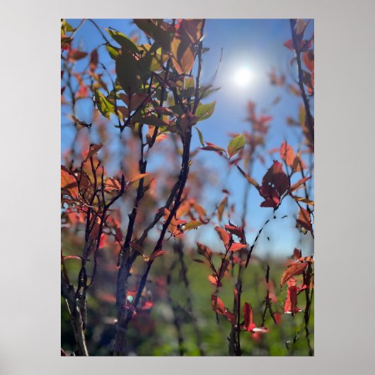 Fall  ポスター (正面)