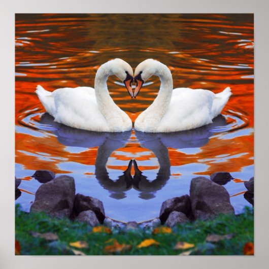 Fall Autumn Lake Reflections of Swans in Love ポスター (正面)
