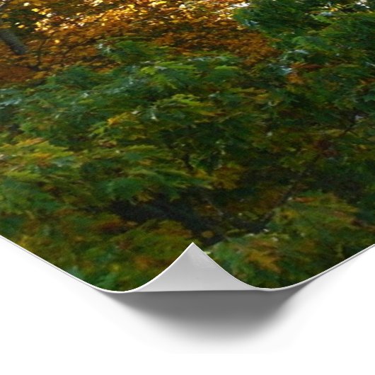 Fall Color at Ohiopyle State Park ポスター (角)