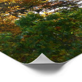 Fall Color at Ohiopyle State Park ポスター (角)