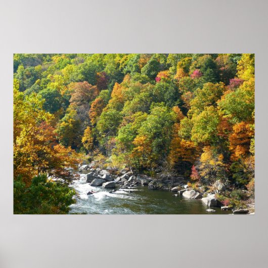 Fall Color at Ohiopyle State Park ポスター (正面)