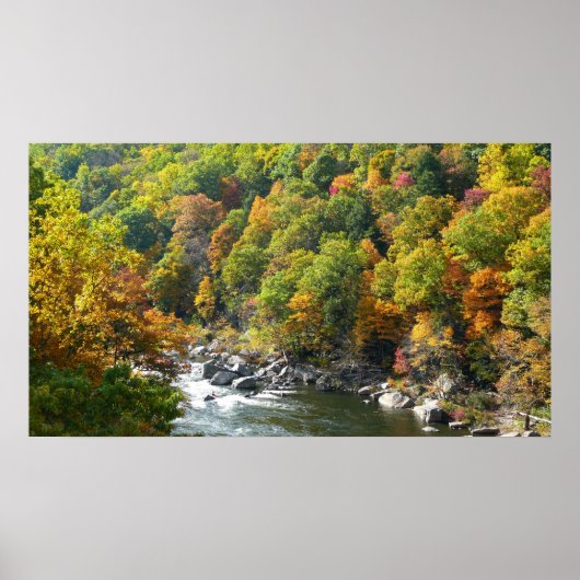 Fall Color at Ohiopyle State Park ポスター (正面)