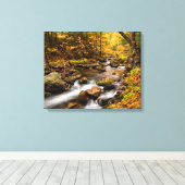 Fall Color Jefferson Brook | White Mountains キャンバスプリント (インサイチュ (ウッドフロア))