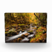 Fall Color Jefferson Brook | White Mountains フォトブロック (正面)