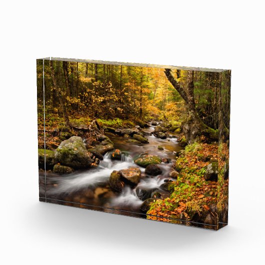 Fall Color Jefferson Brook | White Mountains フォトブロック (右)