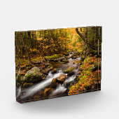 Fall Color Jefferson Brook | White Mountains フォトブロック (左)