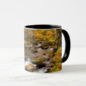 Fall Color Jefferson Brook | White Mountains マグカップ (正面右)