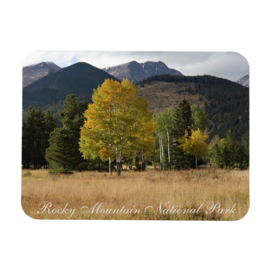 Fall Colors Mummy Range Rocky Mtn National Park マグネット (横)