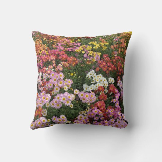 Fall Flowers pillow, orange, yellow, pink daisies クッション (裏面)