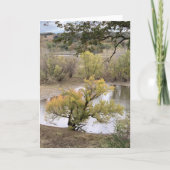 Fall Foliage at Good Earth State Park カード (正面)