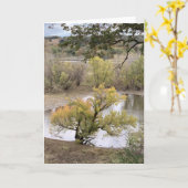 Fall Foliage at Good Earth State Park カード (黄色い花)