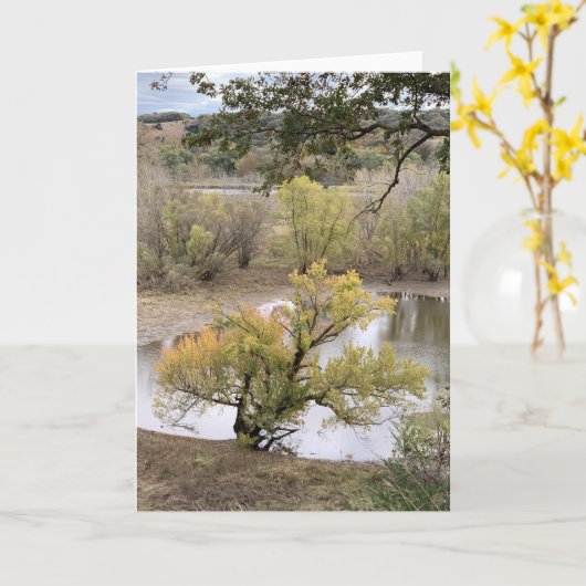 Fall Foliage at Good Earth State Park カード (黄色い花)