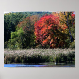Fall Foliage Bordering A Marsh Orton Effect ポスター