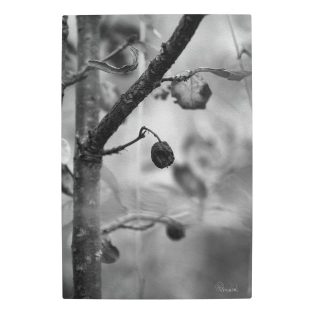 Fall Forest Dreams – BNW Boho Botanical Fantasy メタルプリント (正面)