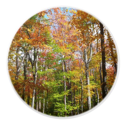 Fall Forest II 紅葉の風景写真 セラミックノブ (正面)