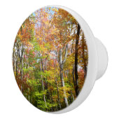 Fall Forest II 紅葉の風景写真 セラミックノブ (右)