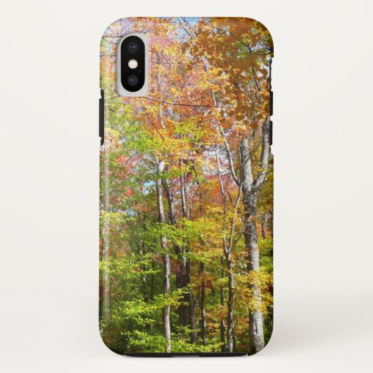 Fall Forest II 紅葉の風景写真 Case-Mate iPhoneケース (裏面)