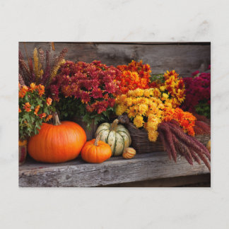 Fall Harvest Tablescape - Autumn Pumpkins Flowers ポストカード