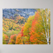 Fall in Grafton Notch State Park, Maine ポスター (正面)