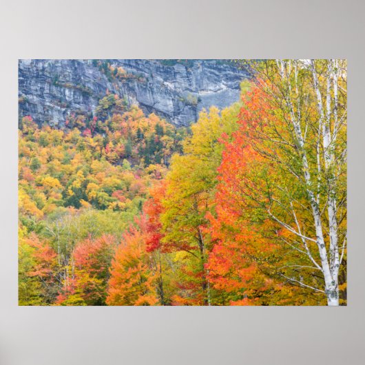 Fall in Grafton Notch State Park, Maine ポスター (正面)