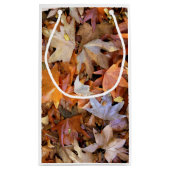 Fall Leaf スモールペーパーバッグ (裏面)