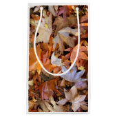 Fall Leaf スモールペーパーバッグ (正面)