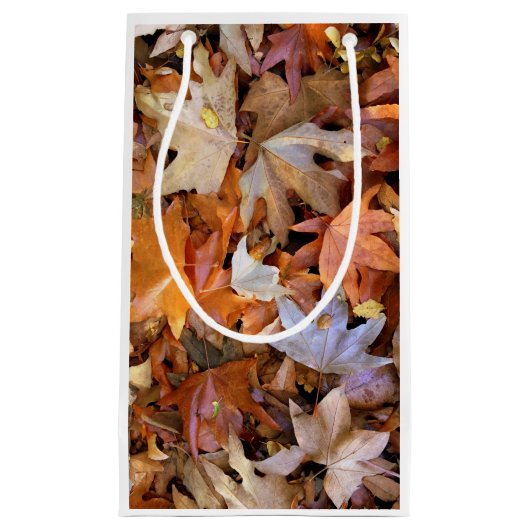 Fall Leaf スモールペーパーバッグ (正面)