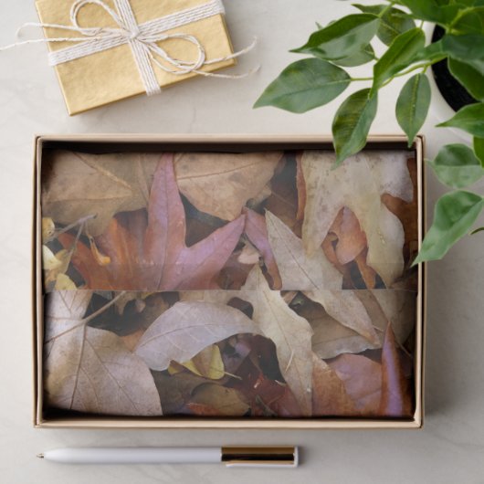 Fall Leaf 薄葉紙 (ギフト)