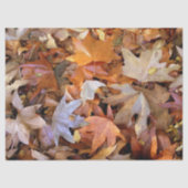 Fall Leaf 薄葉紙 (正面)