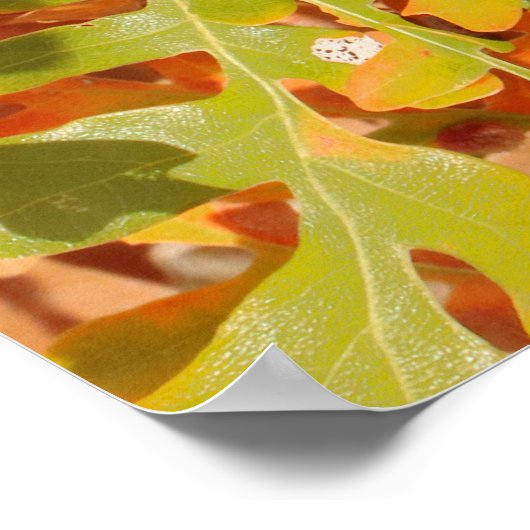 Fall Oak Tapestry ポスター (角)