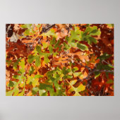 Fall Oak Tapestry ポスター (正面)