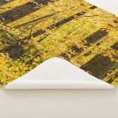 Fall Pisgah National Forest シェルパブランケット (3/4)