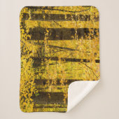 Fall Pisgah National Forest シェルパブランケット (正面)